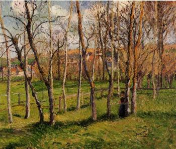 Camille Pissarro : Meadow at Bazincourt